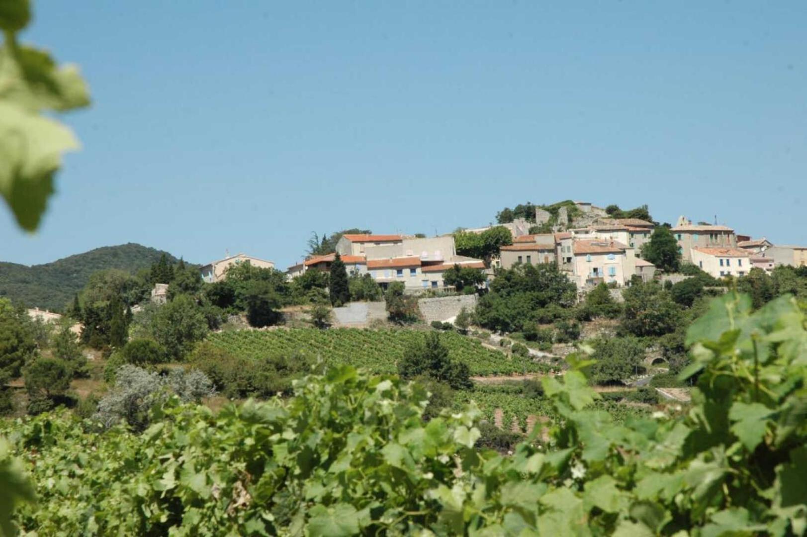 Cecile Villa Montgaillard  Ngoại thất bức ảnh